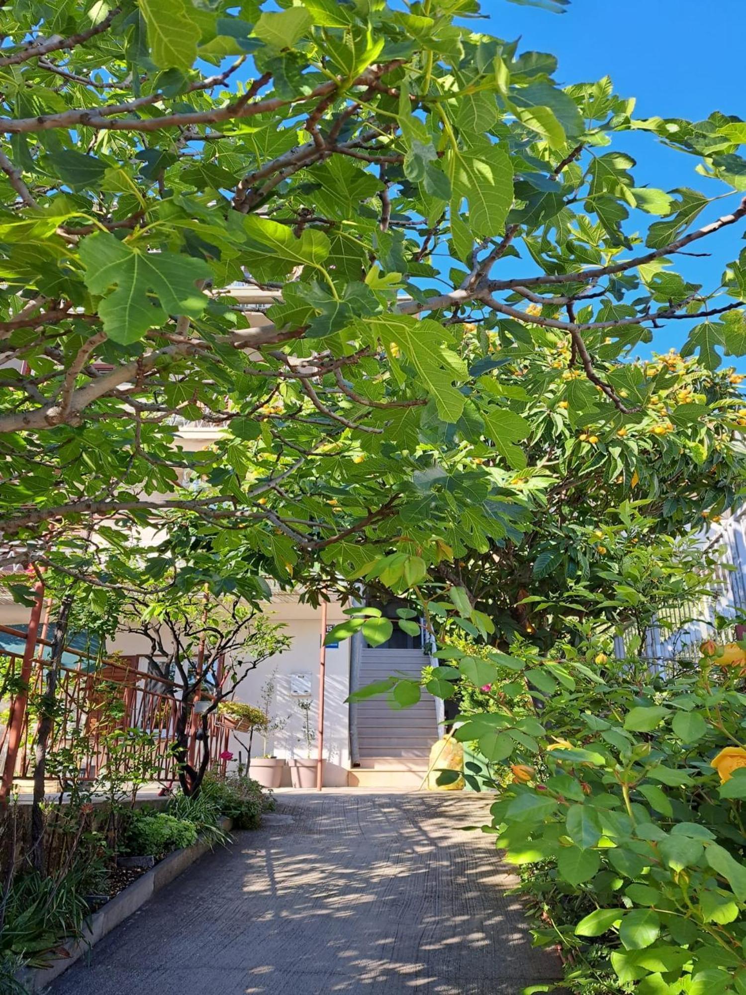 Apartman Adriatic Pavlinovic - Makarska Exterior photo